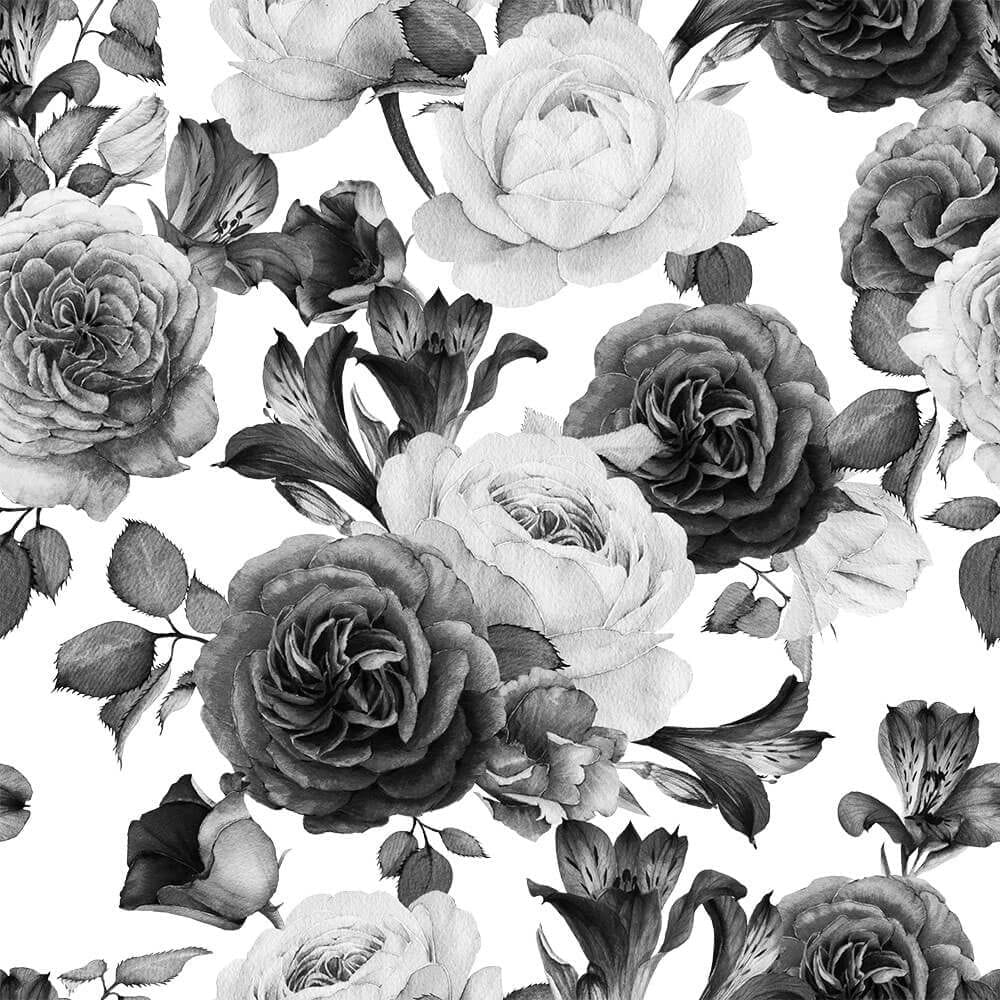 Black And White Rose Drawing Wallpapers