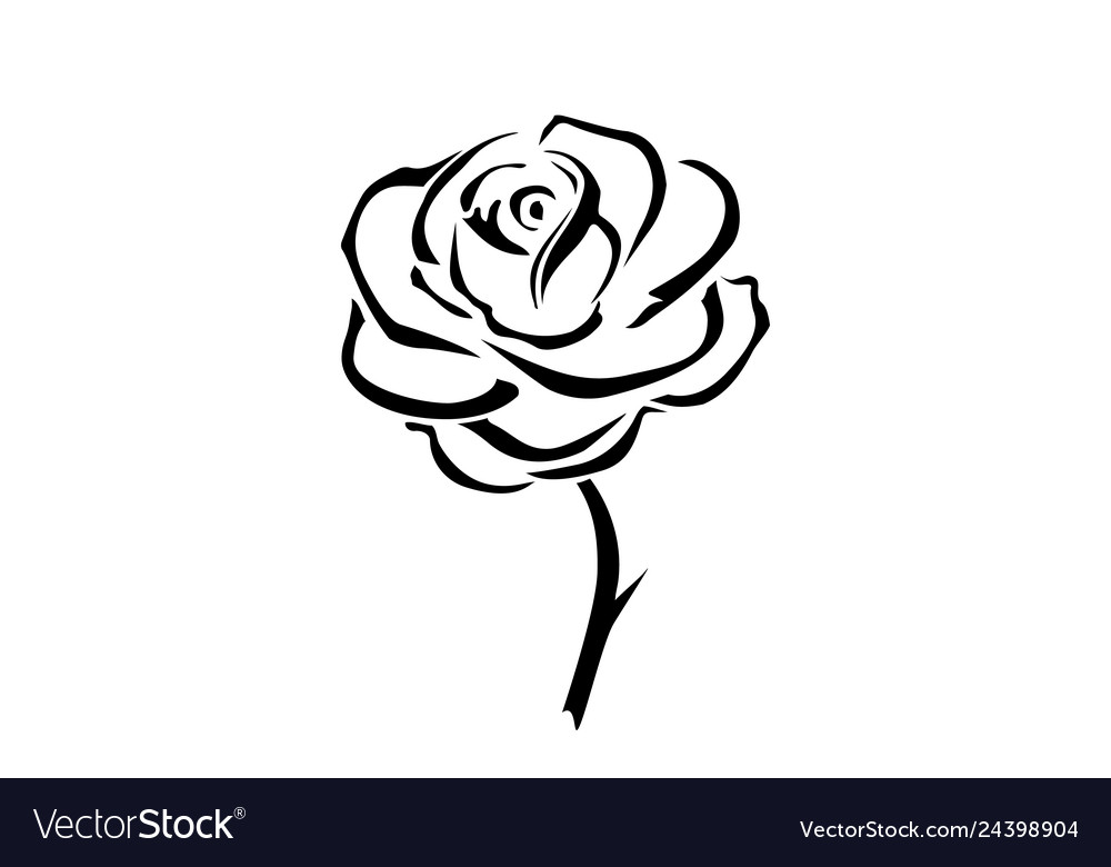 Black And White Rose Hd Wallpapers