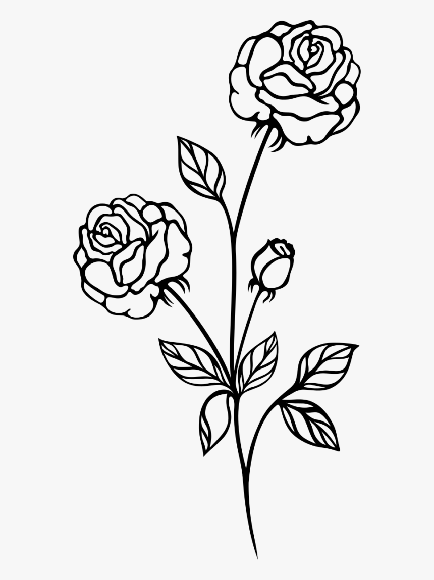 Black And White Rose Hd Wallpapers