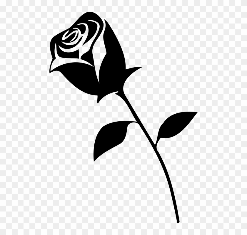 Black And White Rose Hd Wallpapers