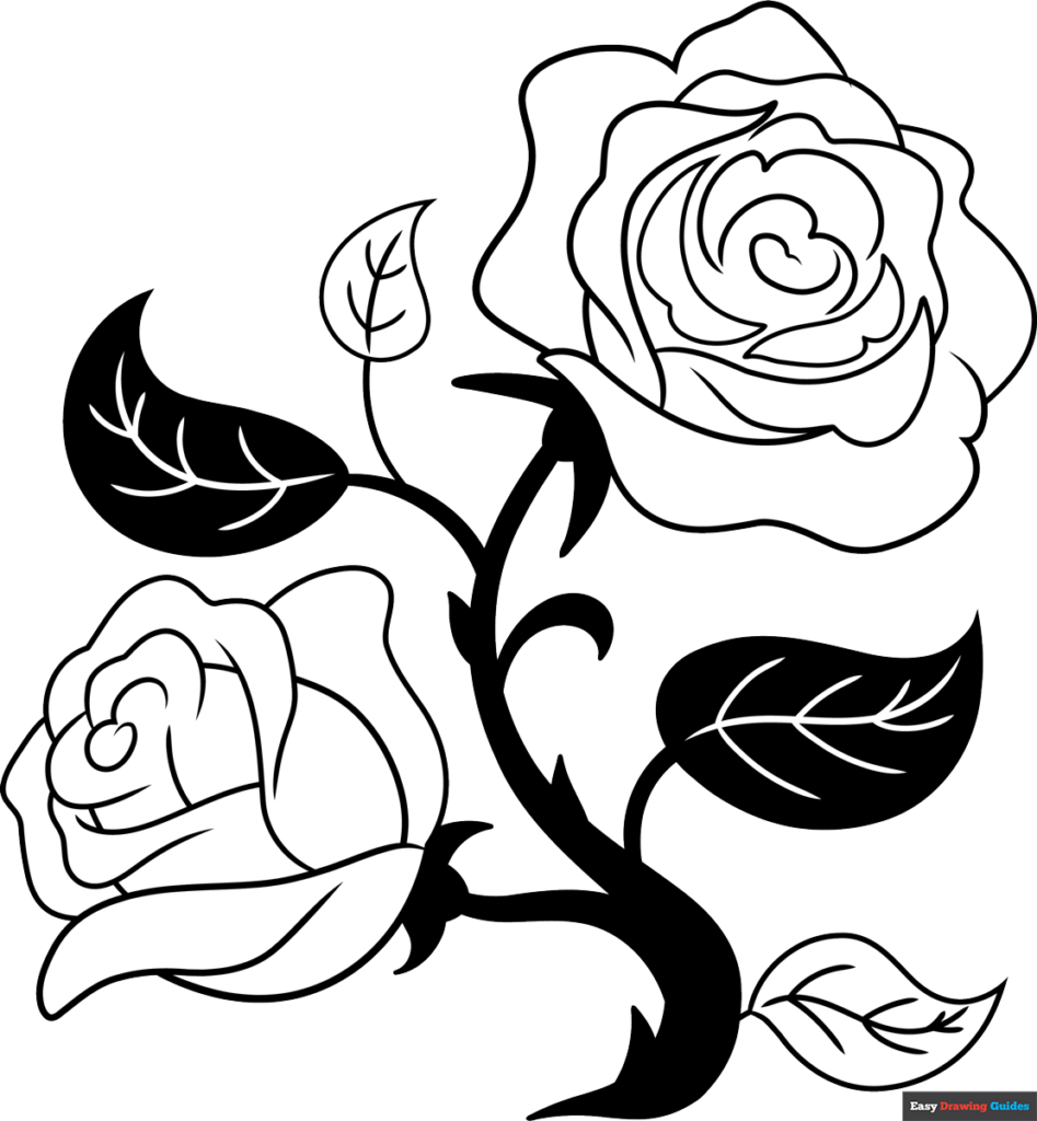 Black And White Rose Hd Wallpapers