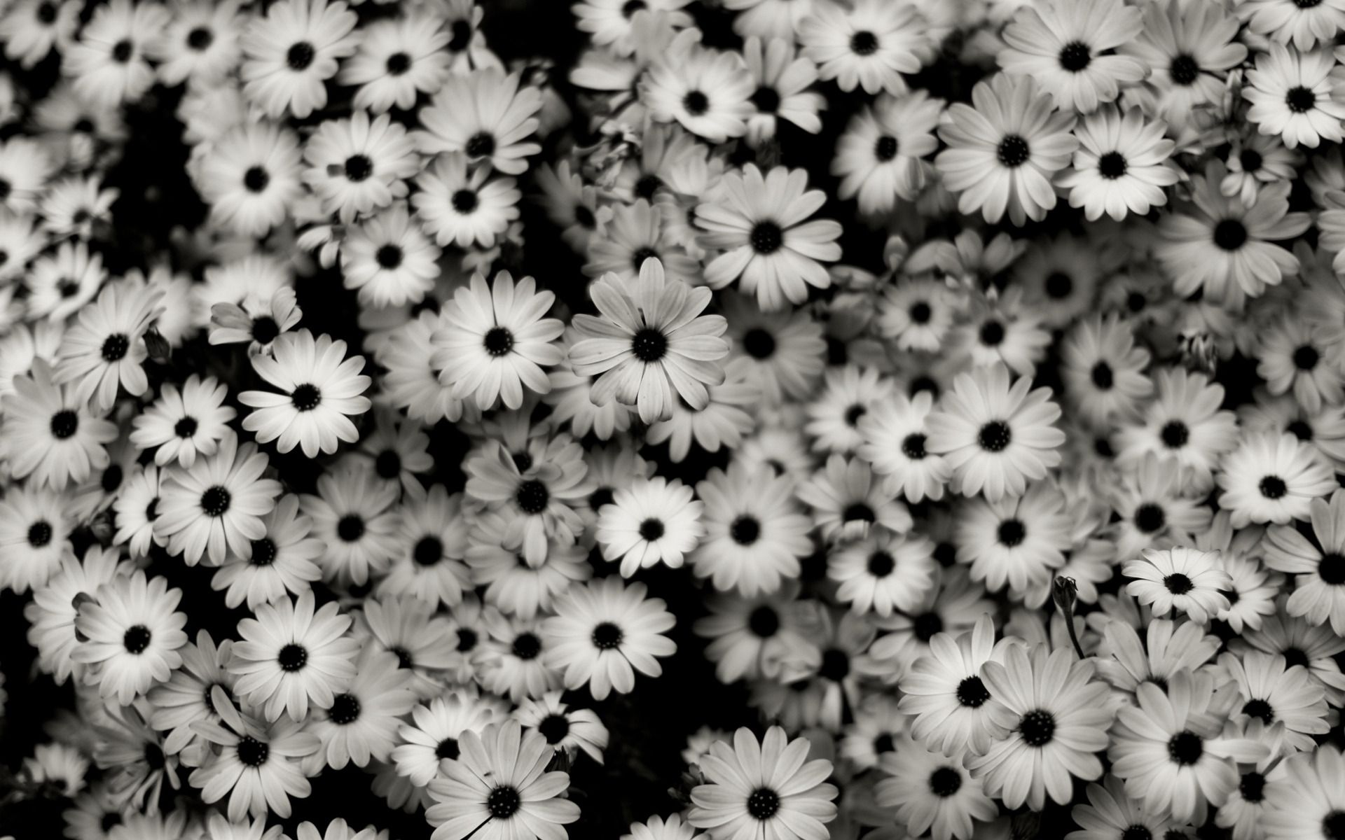 Black And White Vintage Tumblr Backgrounds