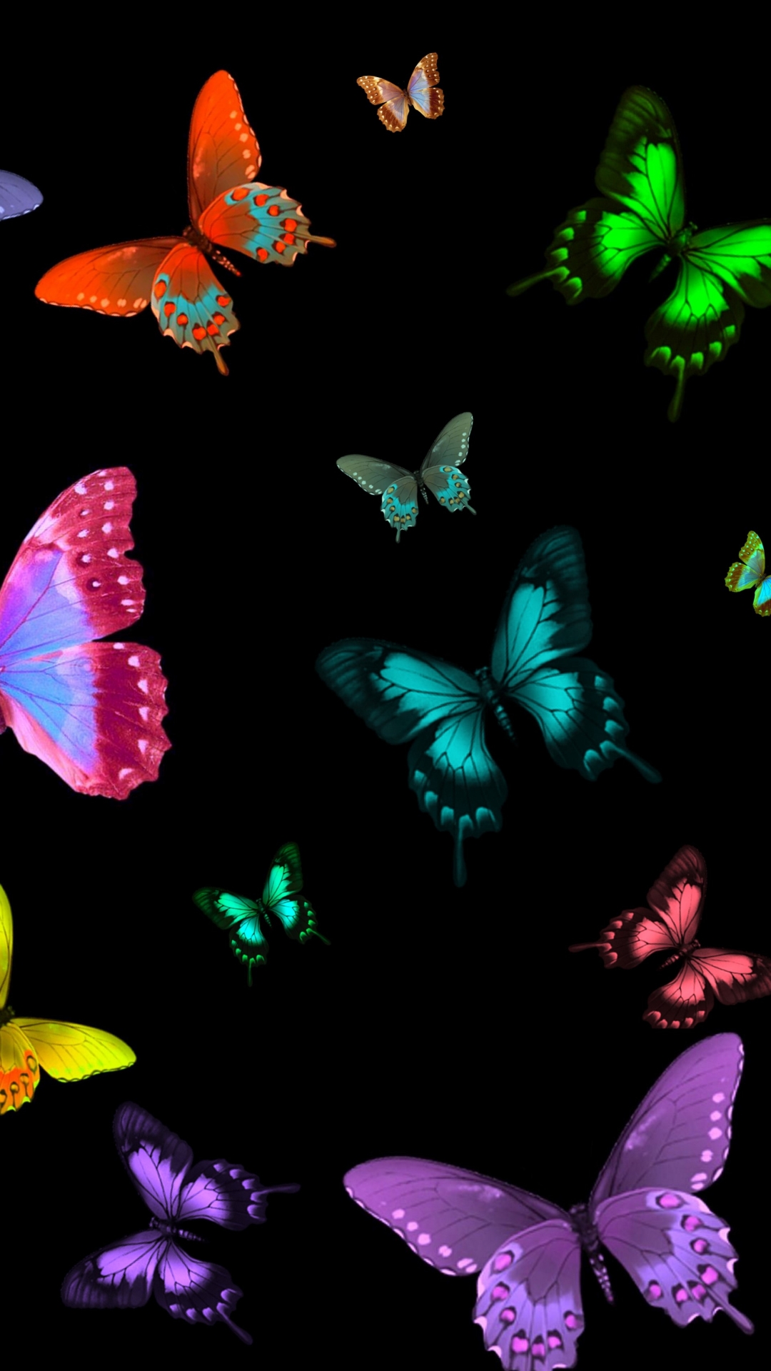 Black Butterfly Wallpapers