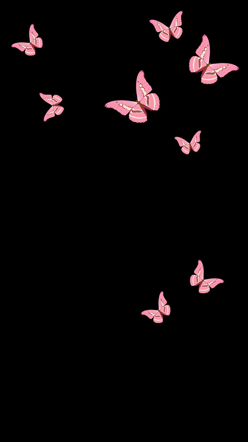 Black Butterfly Wallpapers