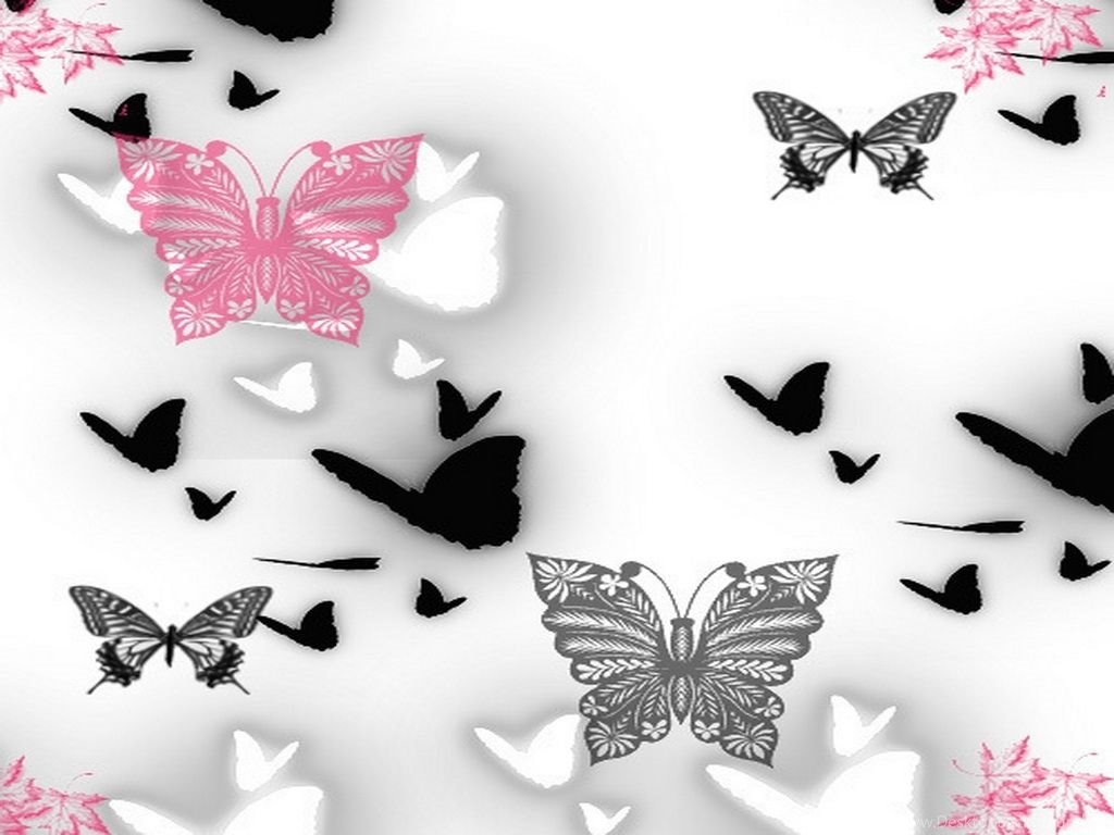 Black Butterfly Wallpapers