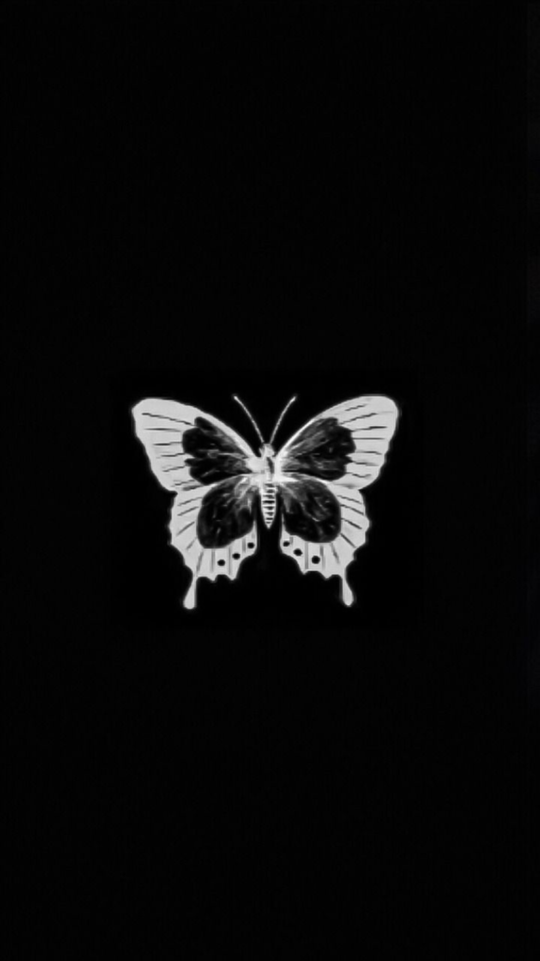 Black Butterfly Wallpapers