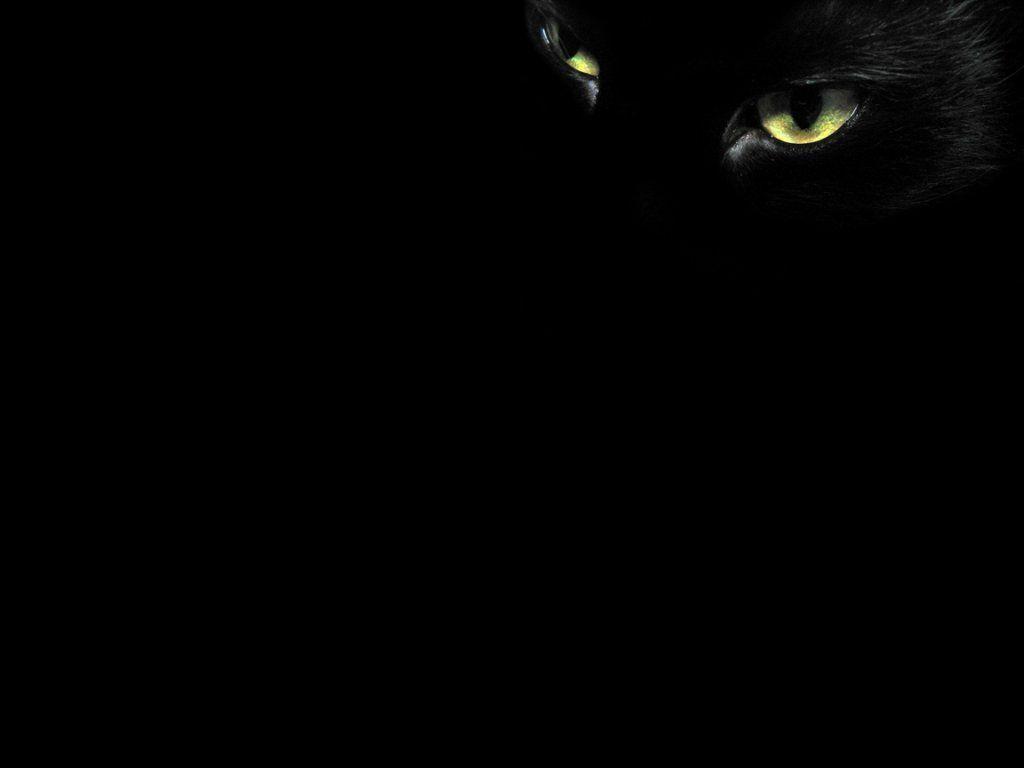 Black Cat Eye Wallpapers