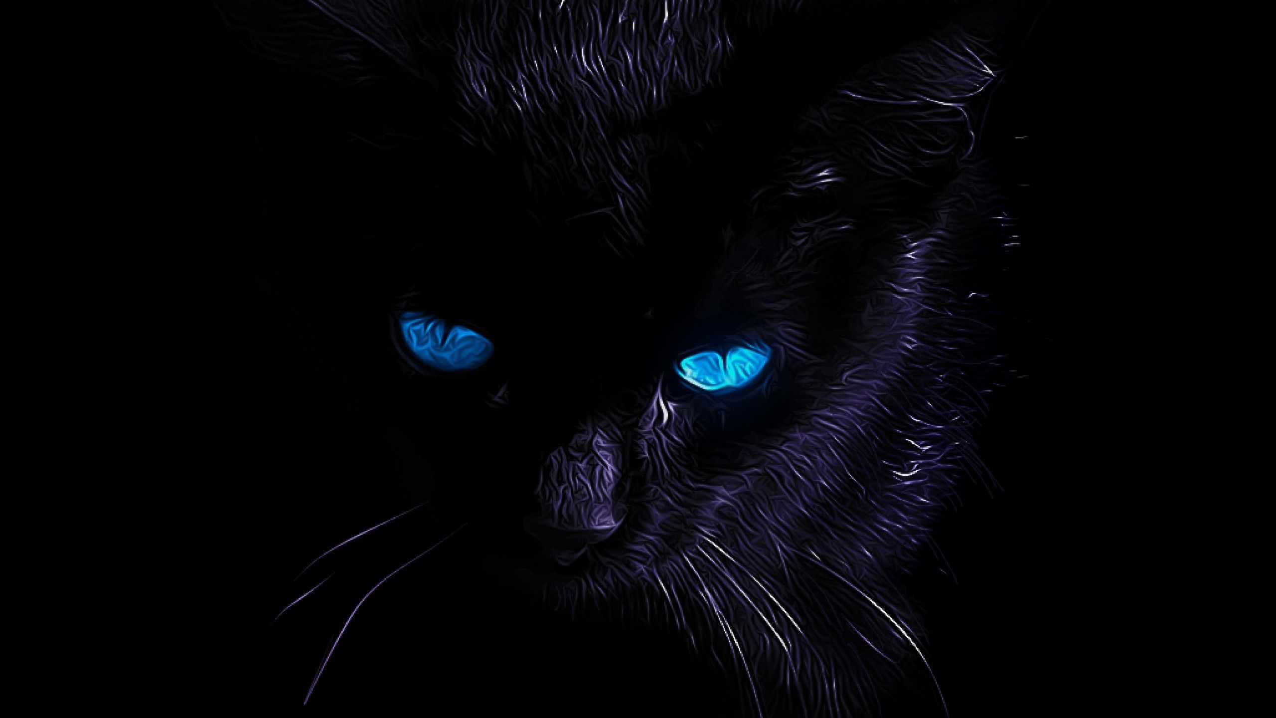 Black Cat Eye Wallpapers