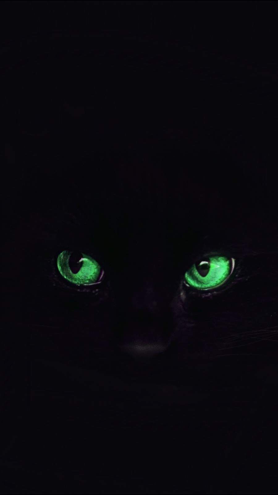 Black Cat Eye Wallpapers