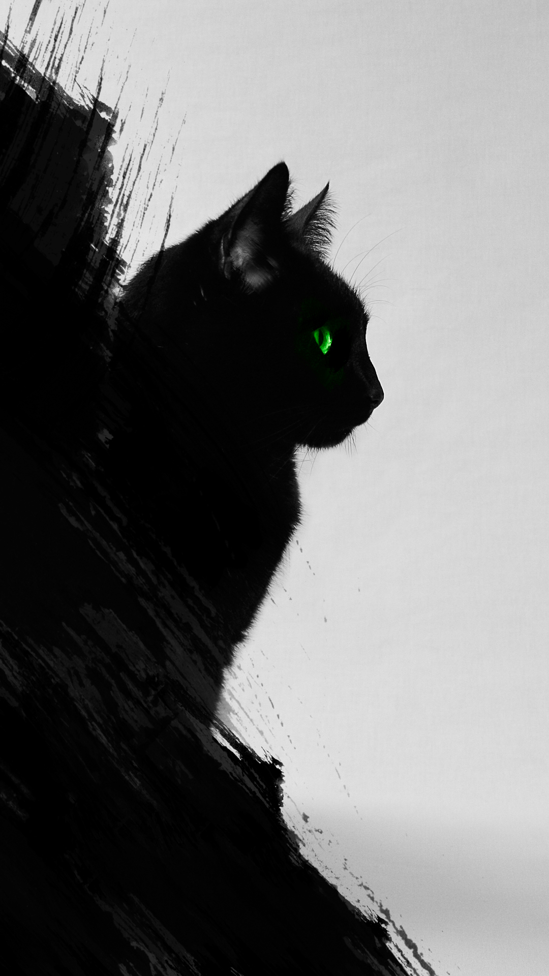 Black Cat Wallpapers