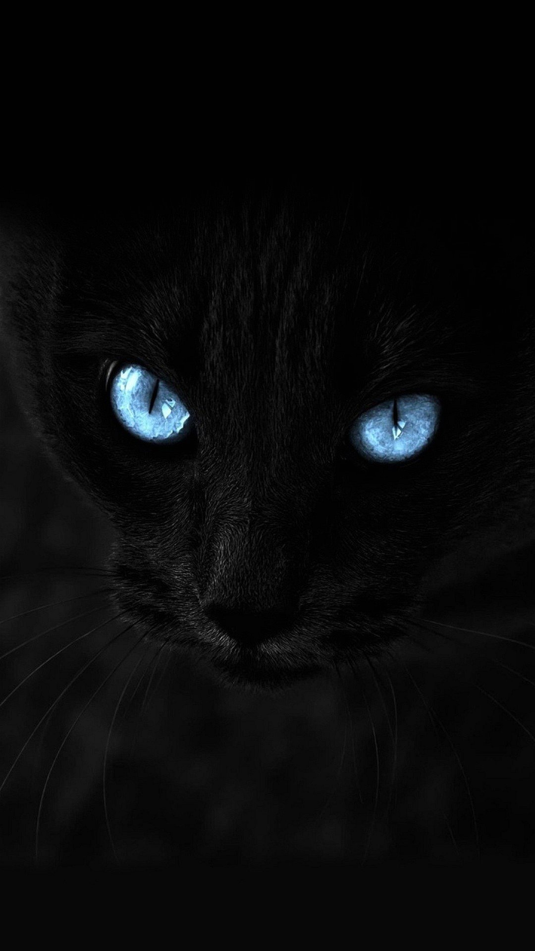 Black Cheetah Wallpapers