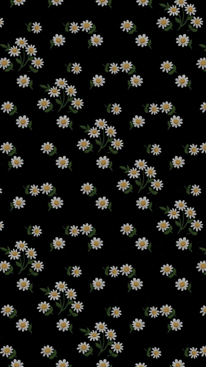 Black Daisy Wallpapers
