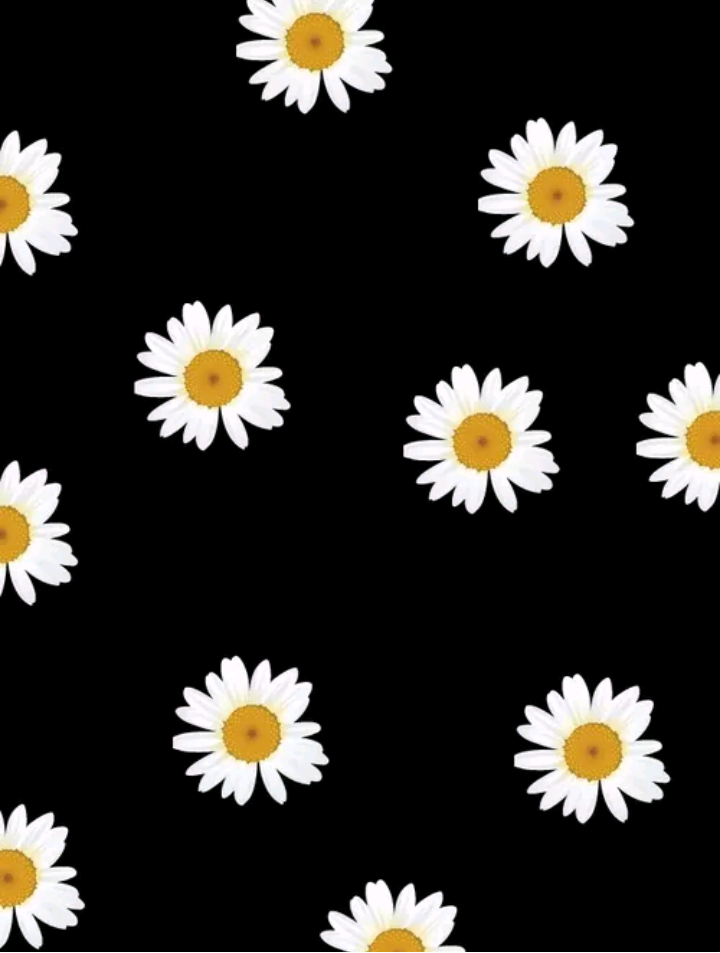 Black Daisy Wallpapers