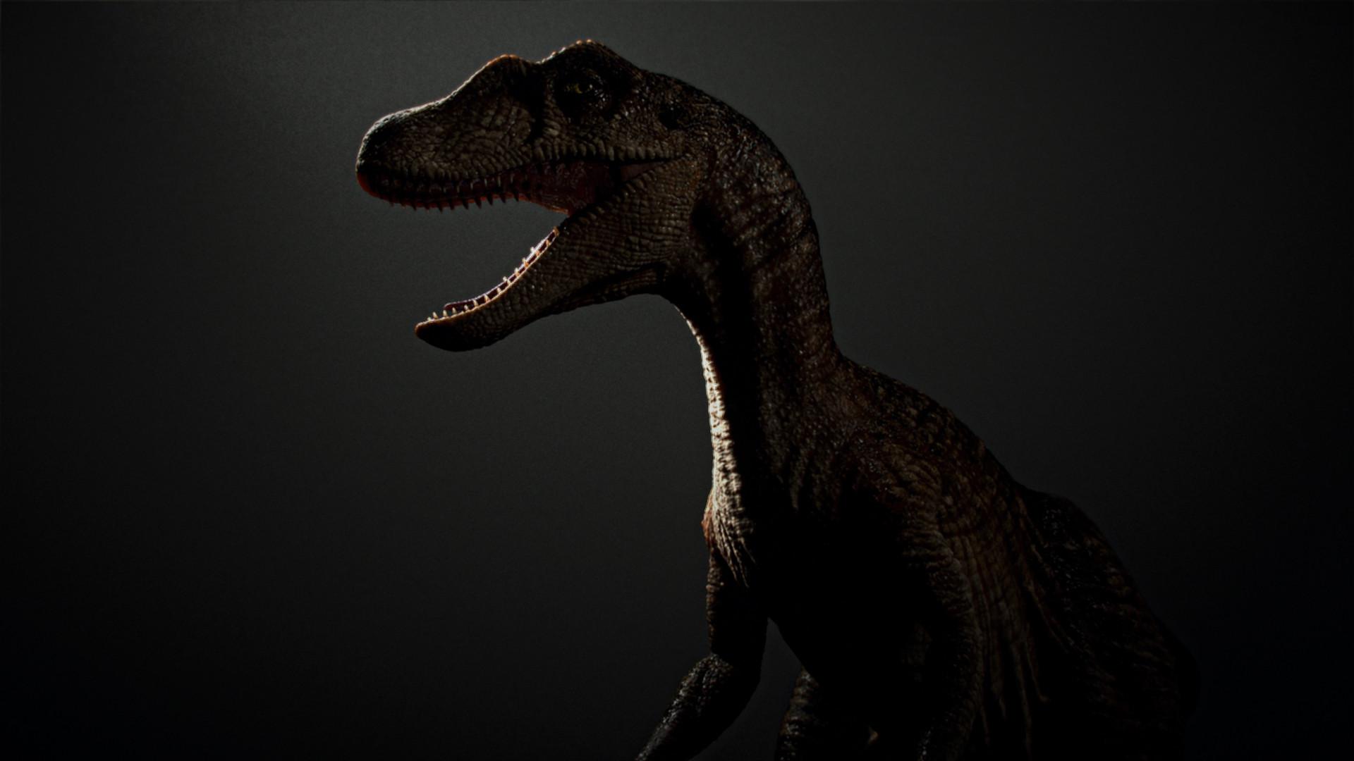 Black Dinosaur Wallpapers