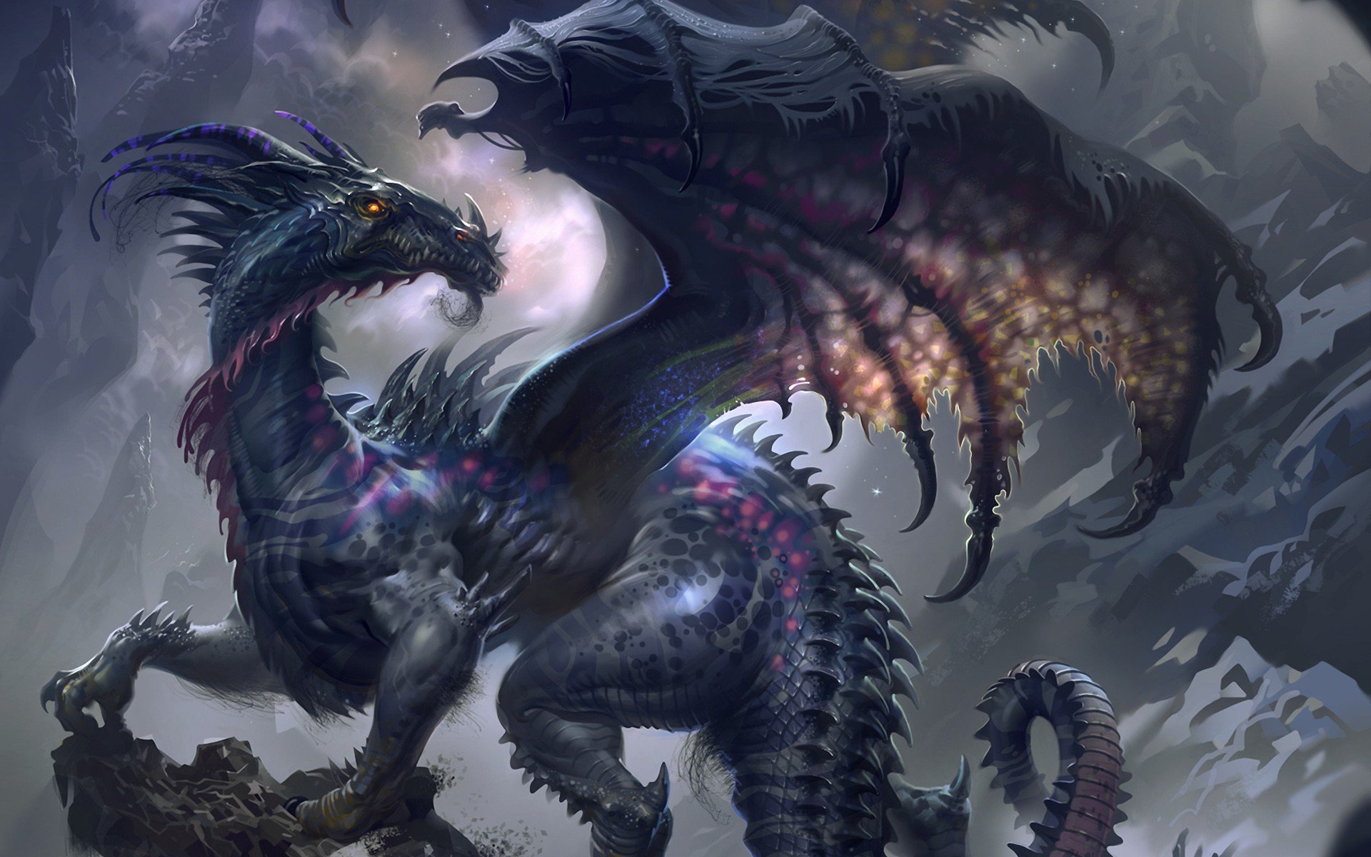 Black Dragon Wallpapers