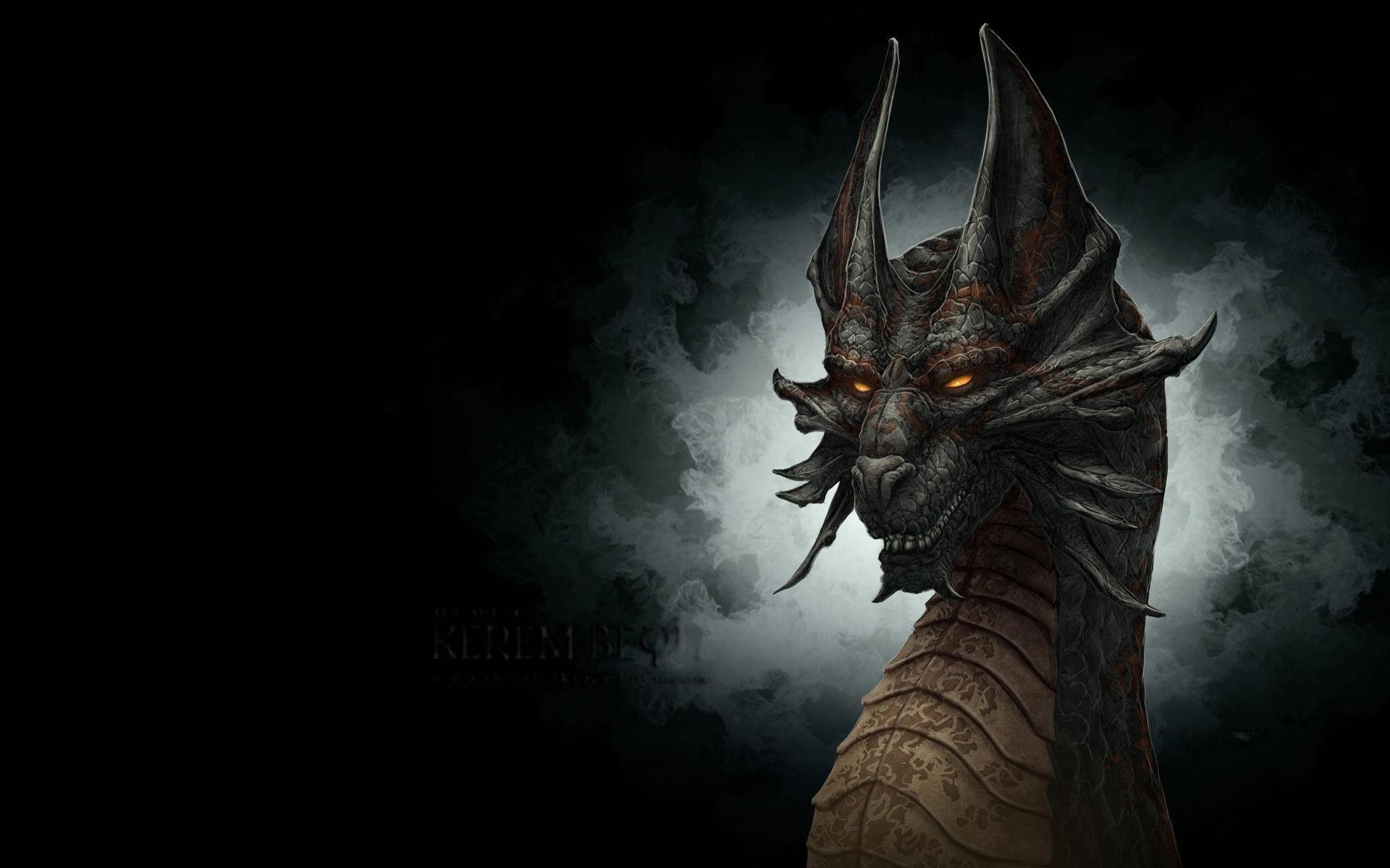 Black Dragon Wallpapers