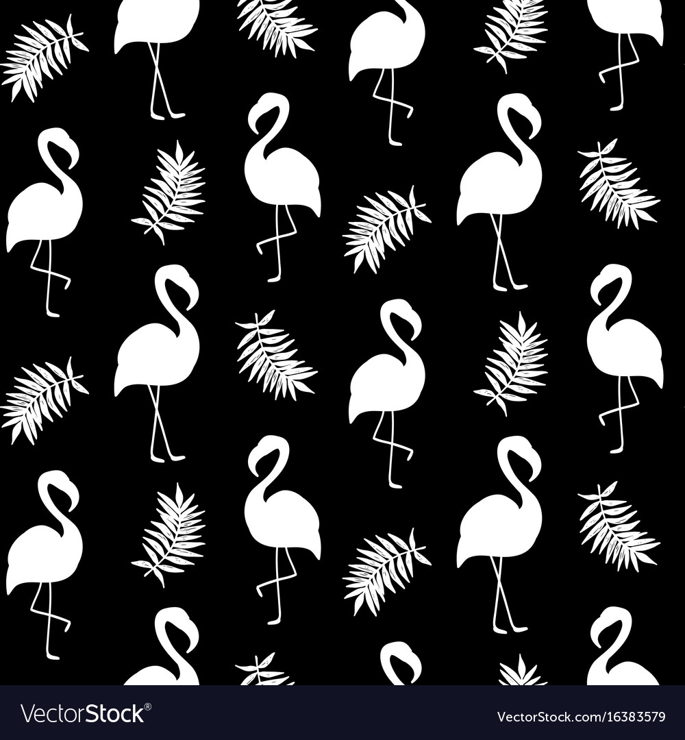 Black Flamingo Wallpapers