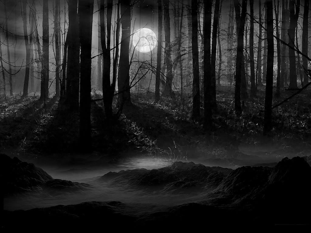 Black Forest Wallpapers