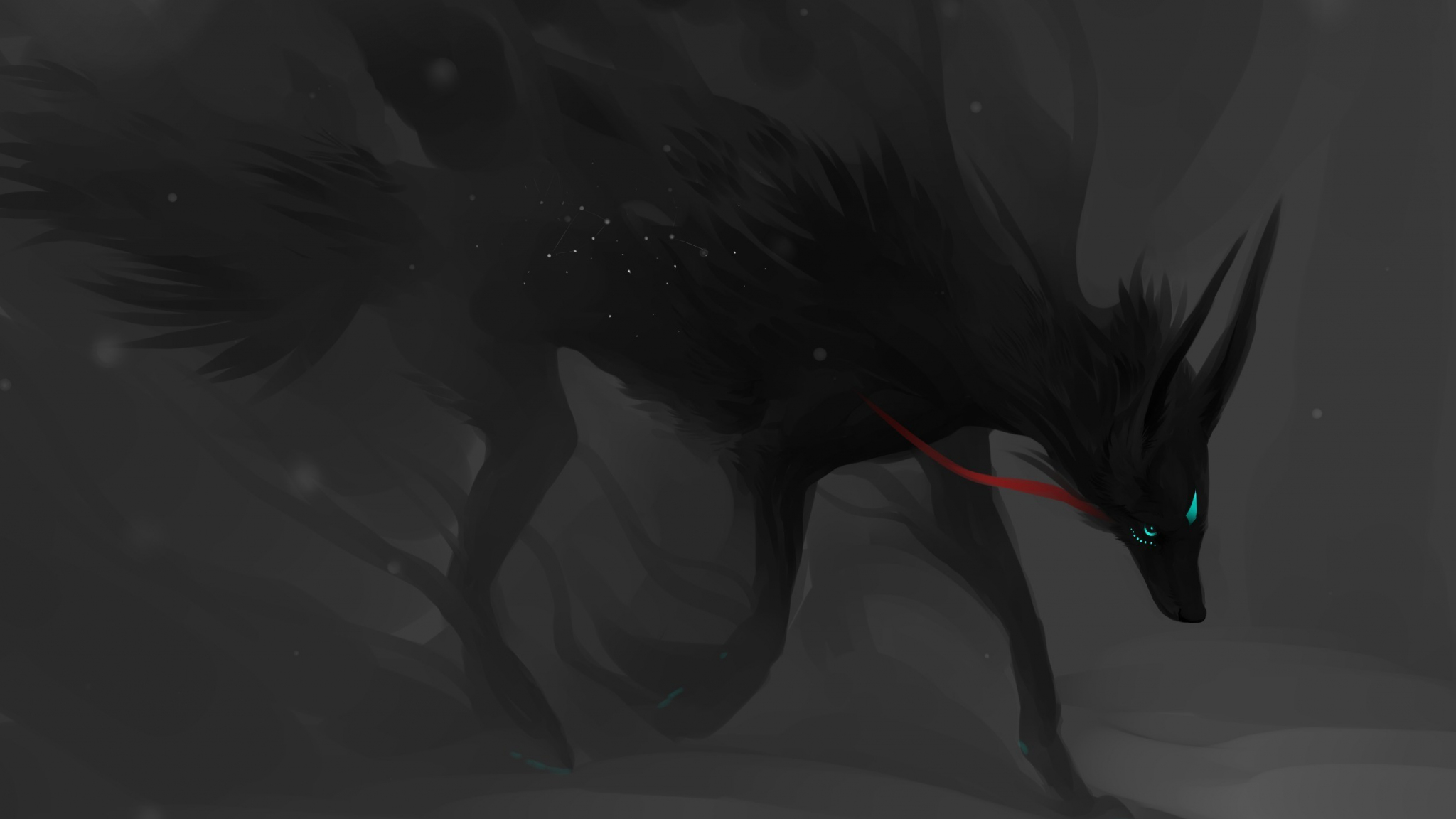 Black Fox Wallpapers