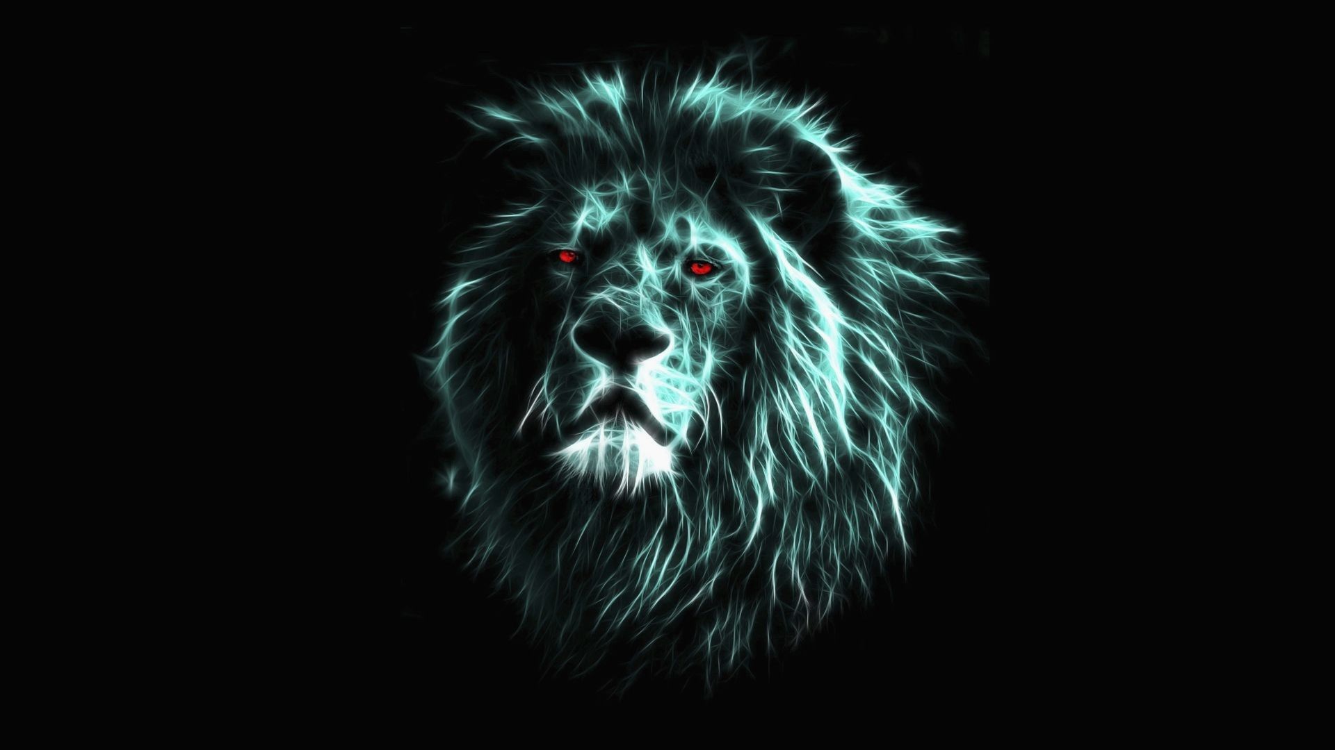 Black Lion Portrait Wallpapers