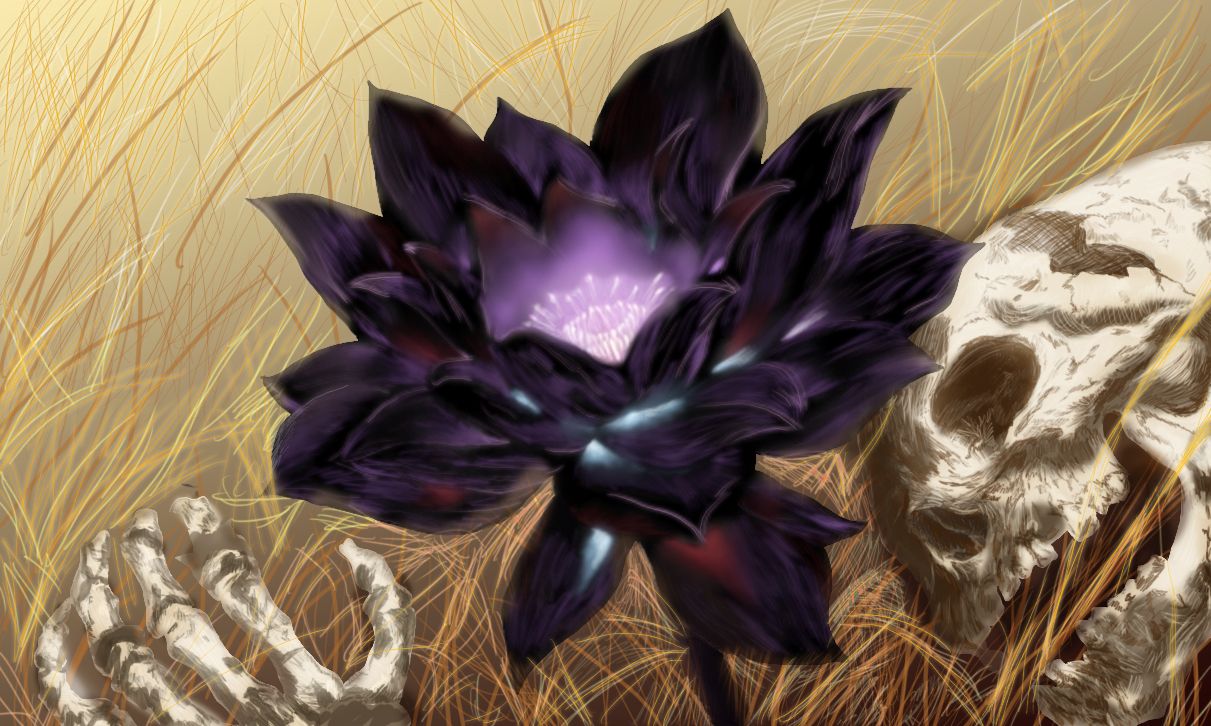 Black Lotus Wallpapers