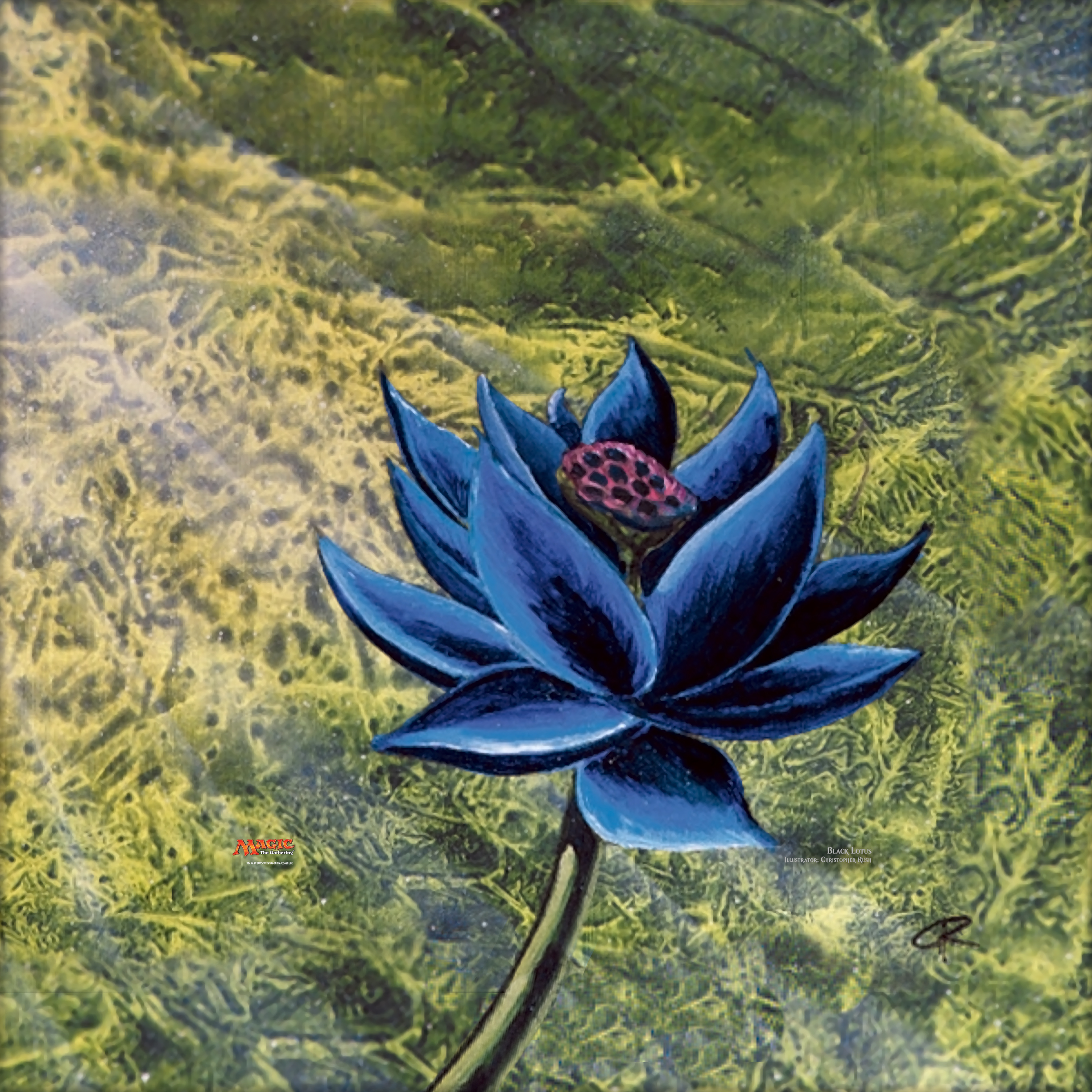 Black Lotus Wallpapers