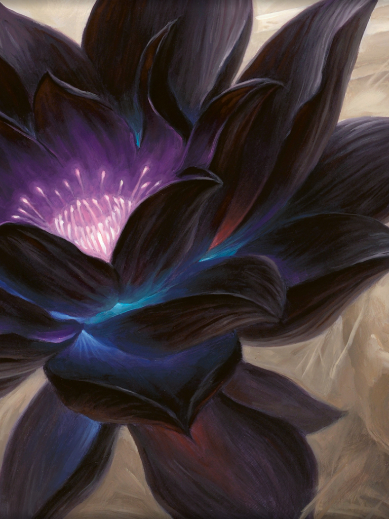 Black Lotus Wallpapers