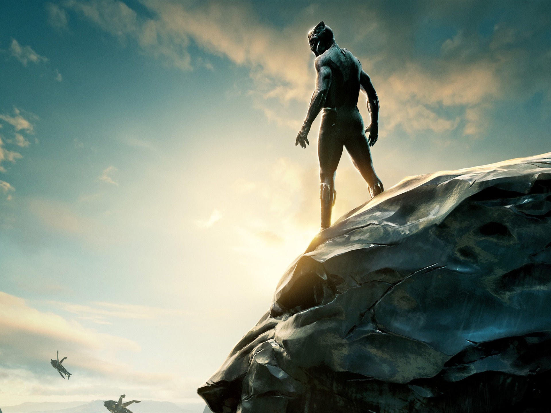 Black Panther 2017 Wallpapers