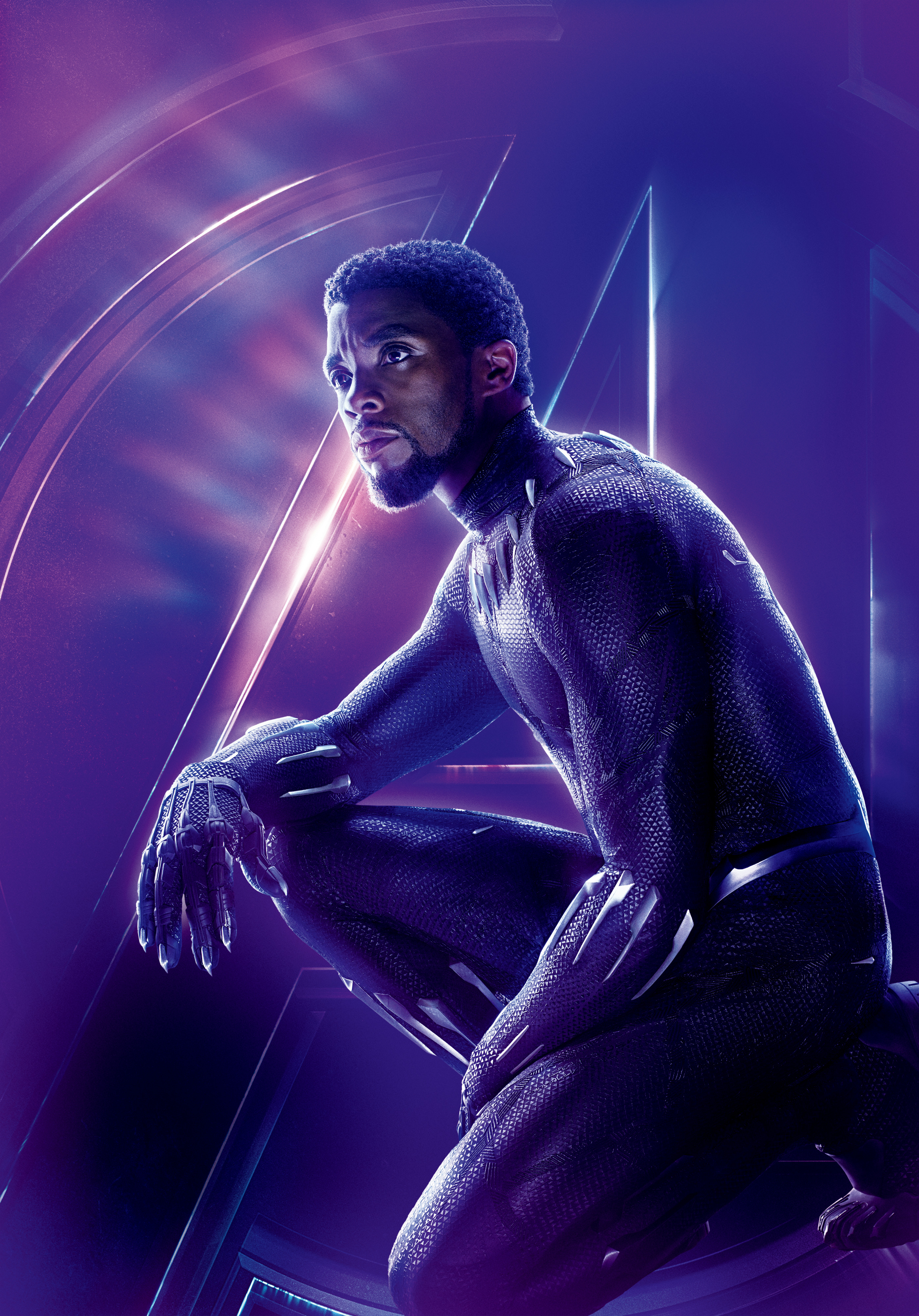 Black Panther Chadwick Boseman In Field With Panthers Wallpapers