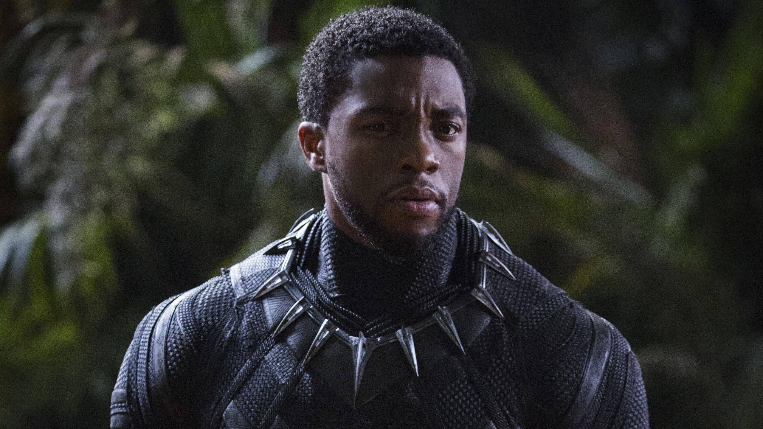 Black Panther Chadwick Boseman In Field With Panthers Wallpapers