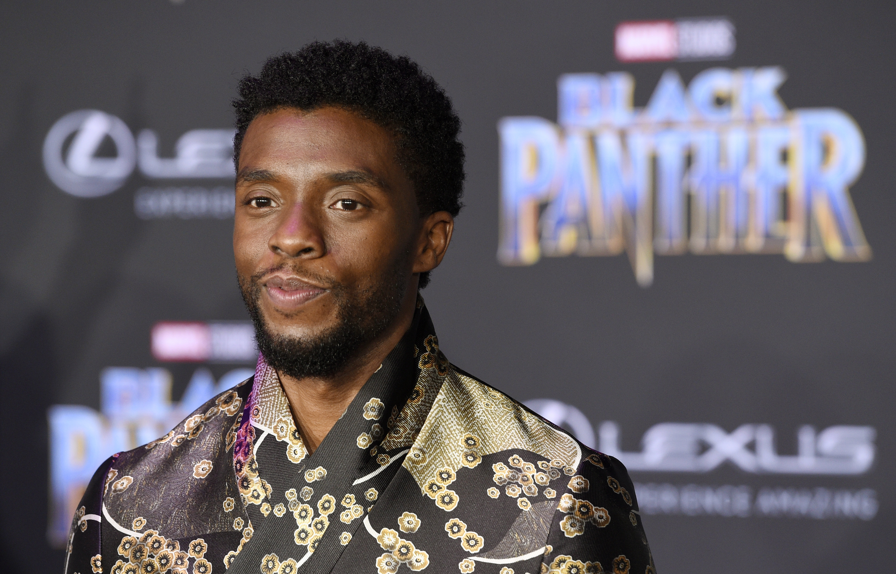 Black Panther Chadwick Boseman In Field With Panthers Wallpapers