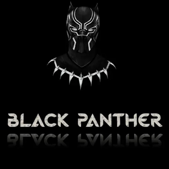 Black Panther Wakanda Forever Pose Wallpapers