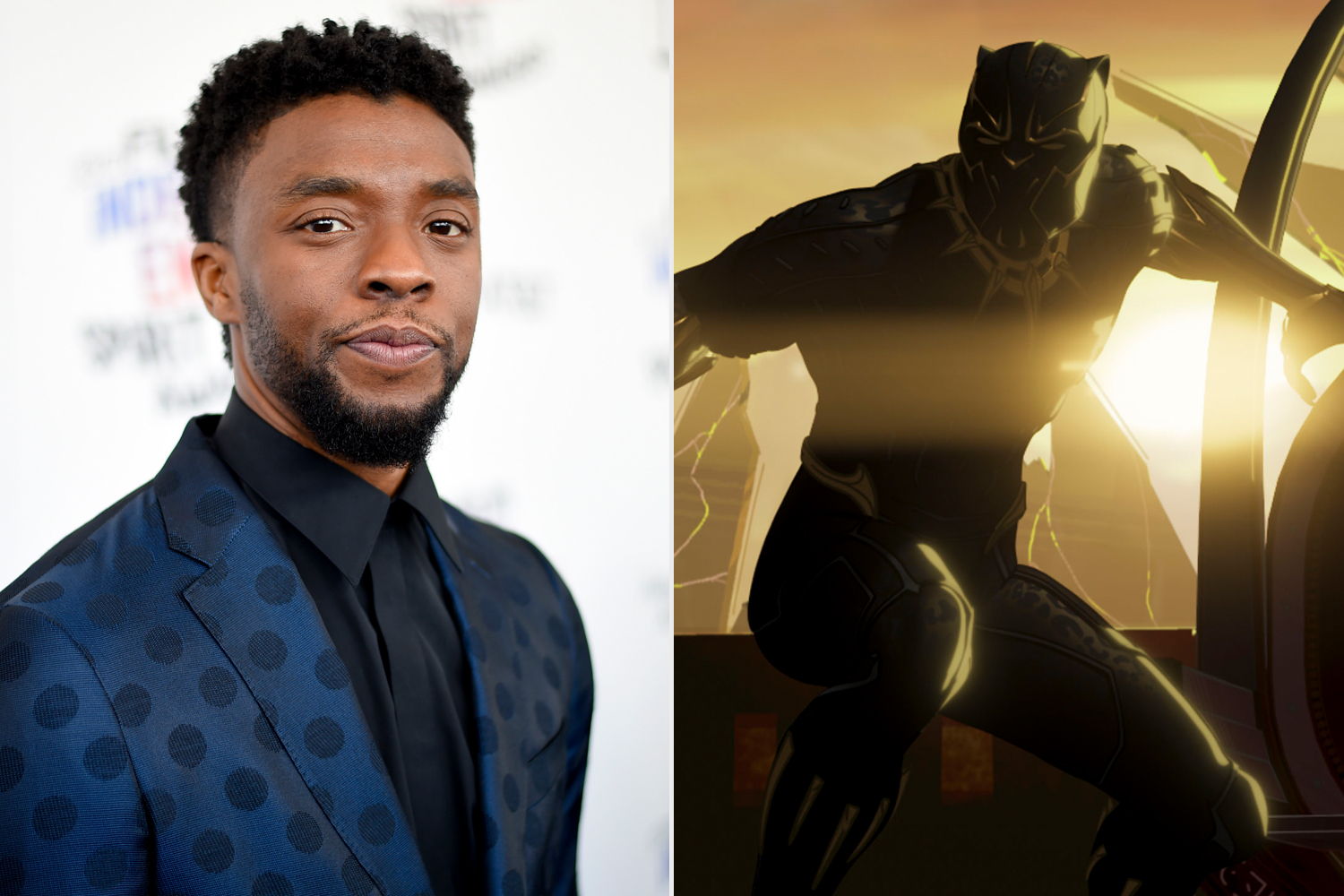 Black Panther Wakanda Forever Pose Wallpapers