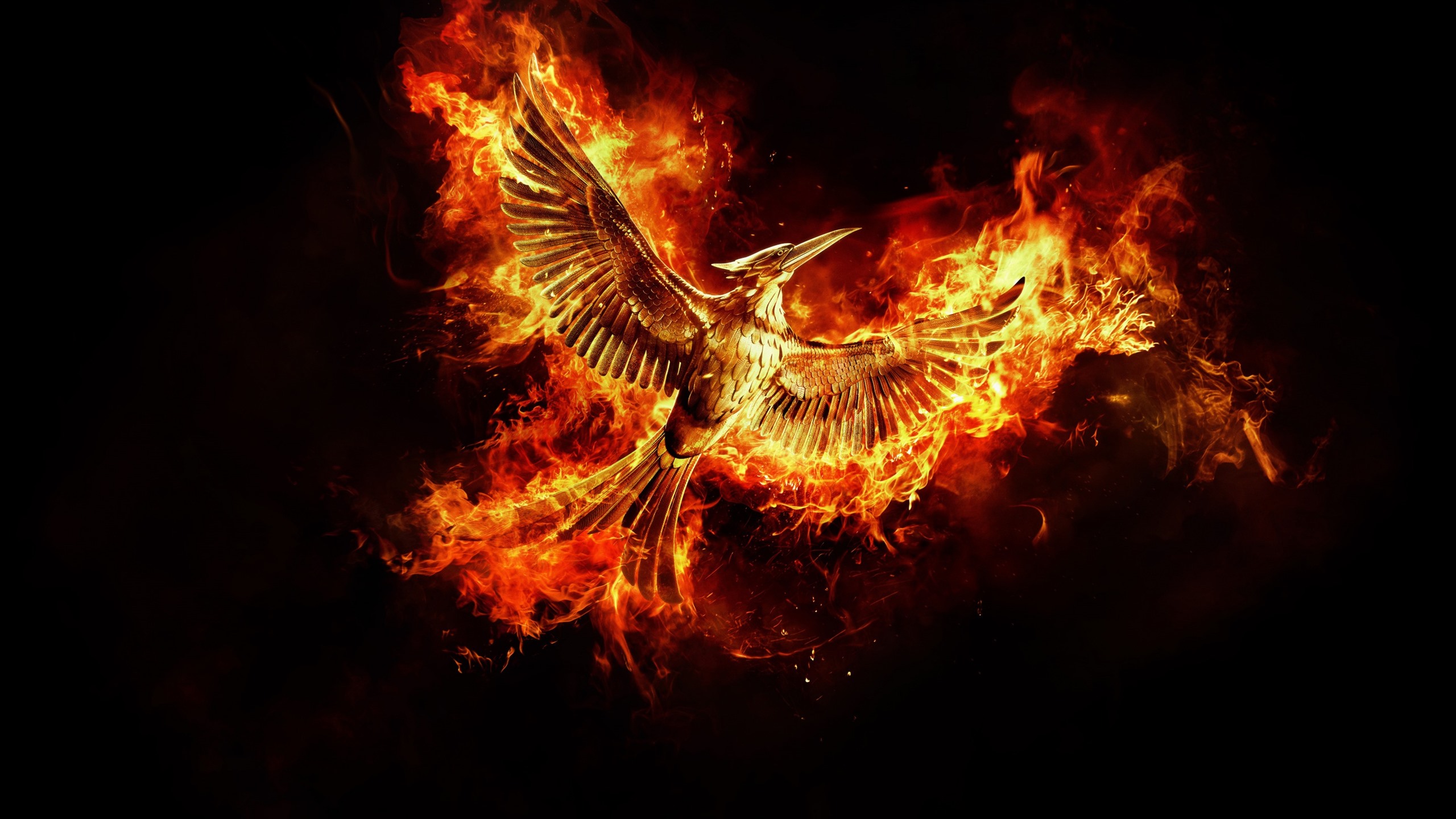 Black Phoenix Wallpapers