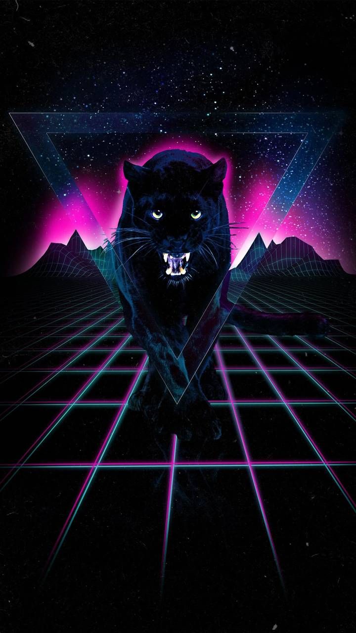 Black Puma Wallpapers