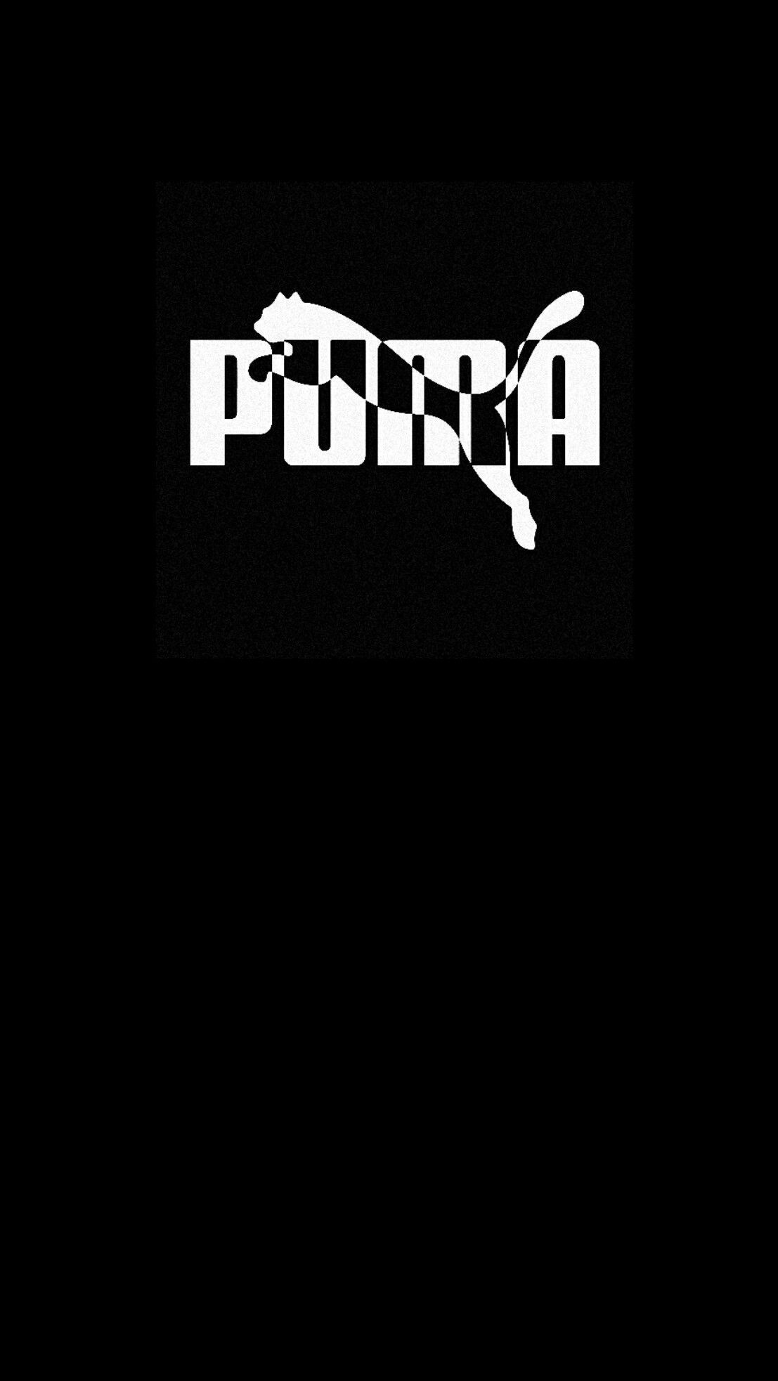 Black Puma Wallpapers