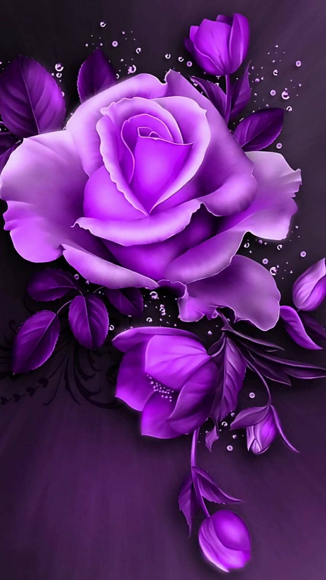 Black Purple Rose Wallpapers