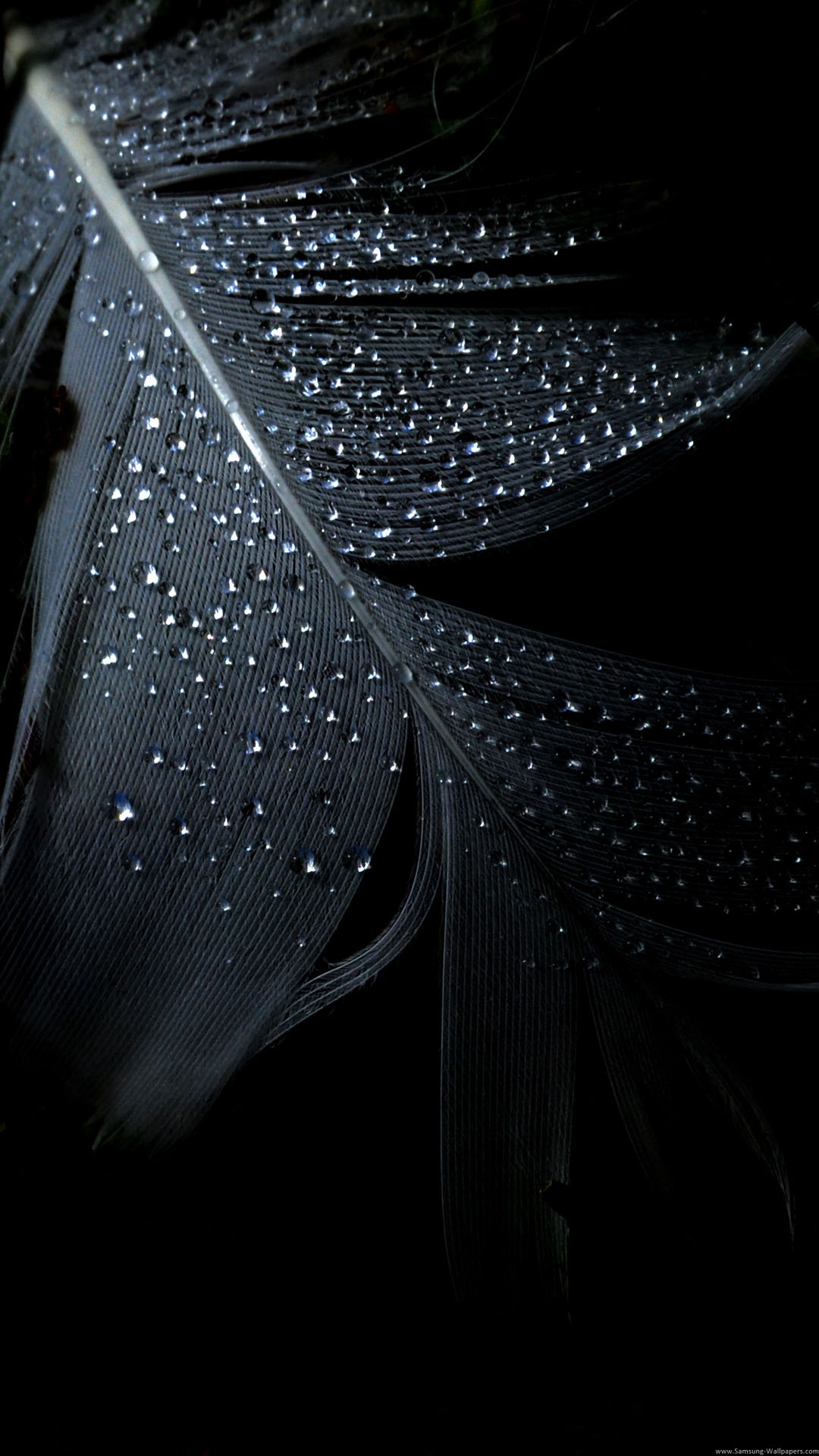 Black Raindrops Wallpapers