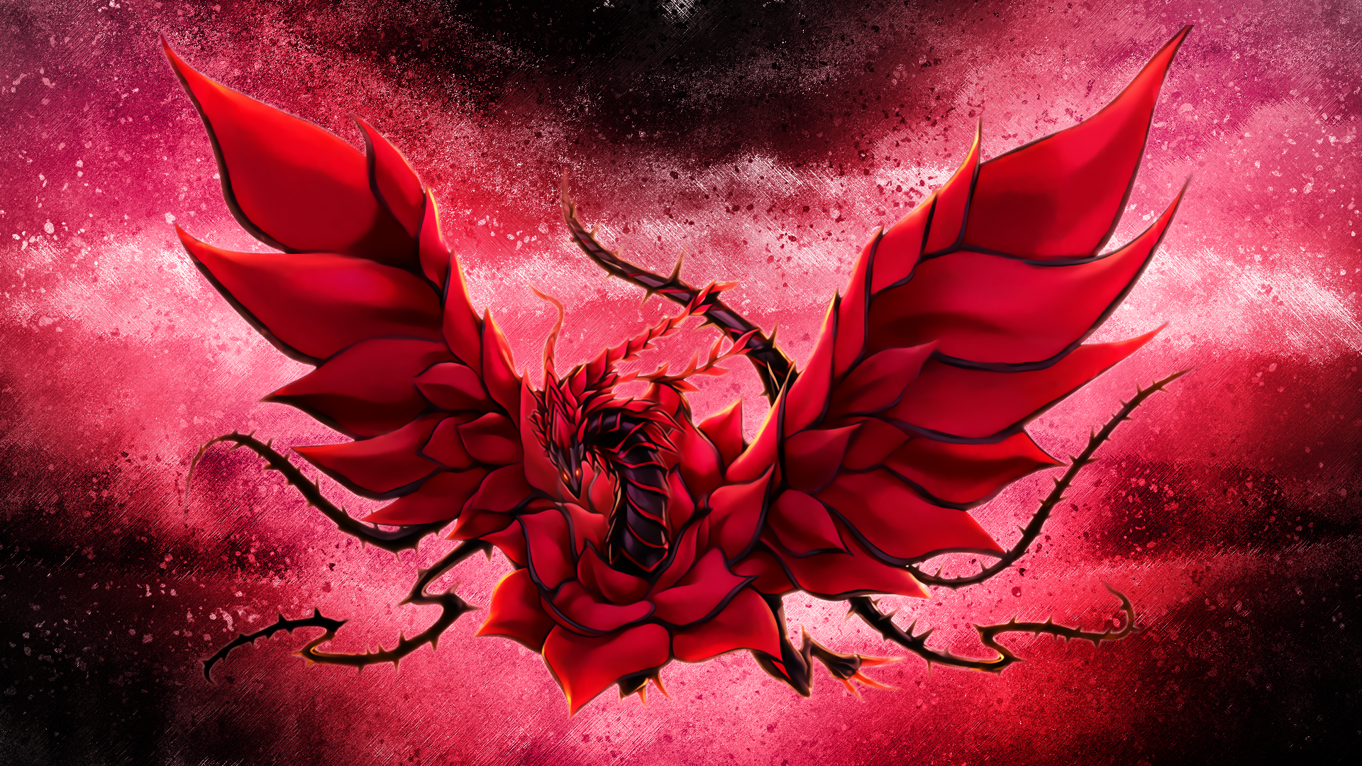 Black Rose Dragon Wallpapers