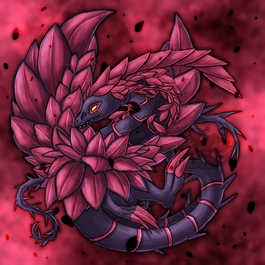 Black Rose Dragon Wallpapers