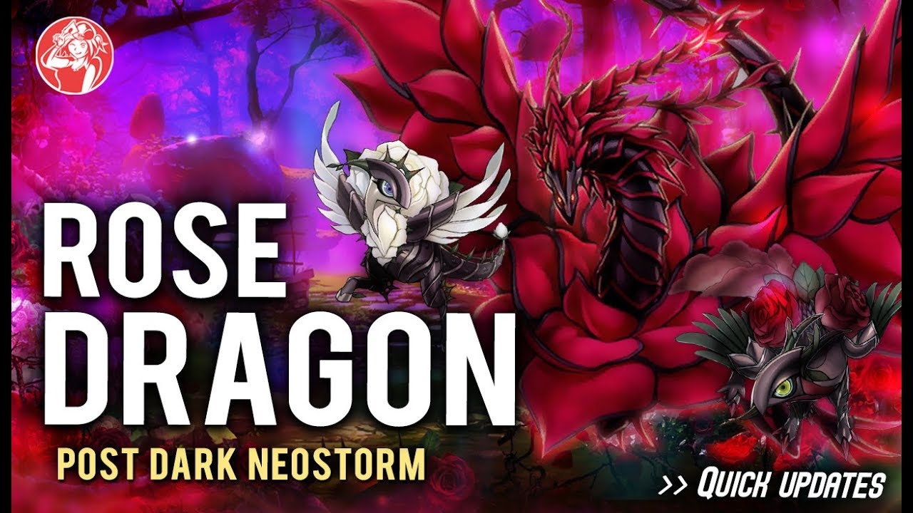 Black Rose Dragon Wallpapers