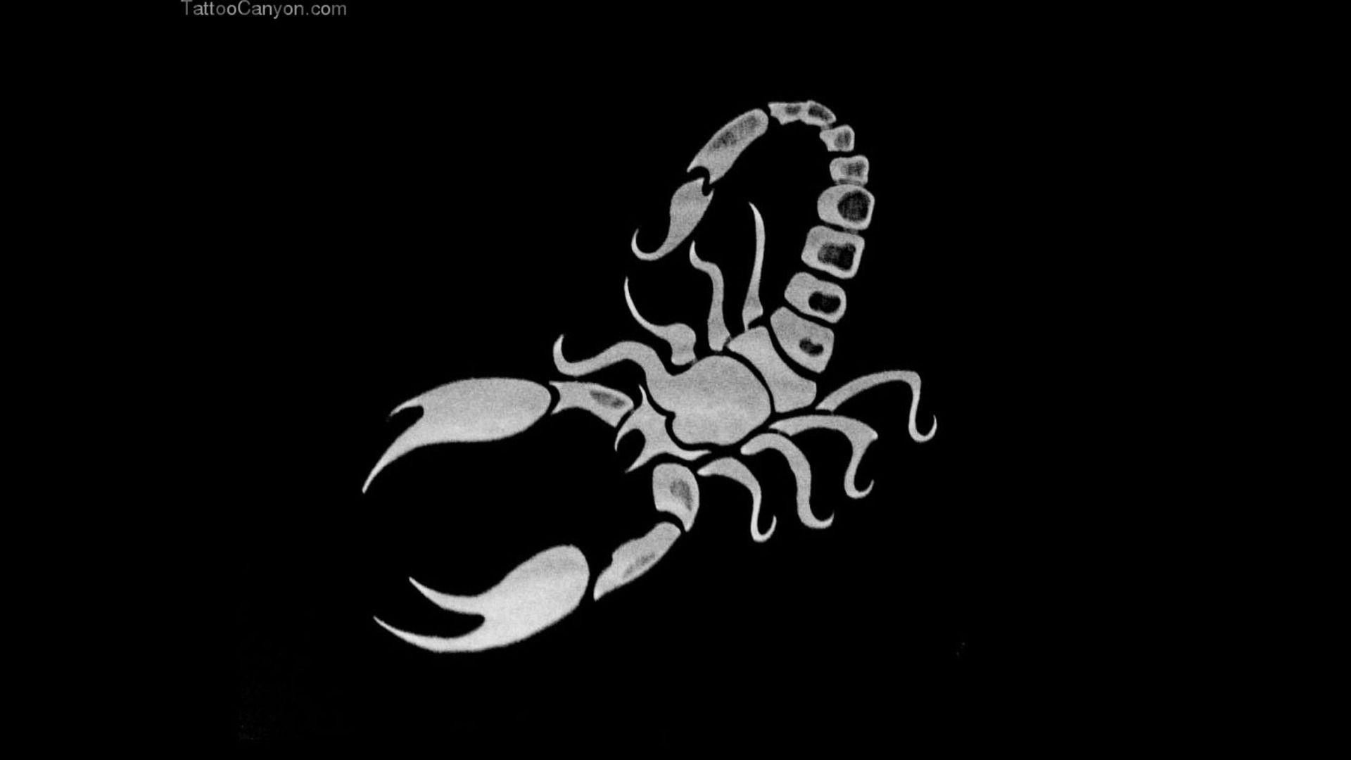 Black Scorpion Images Wallpapers