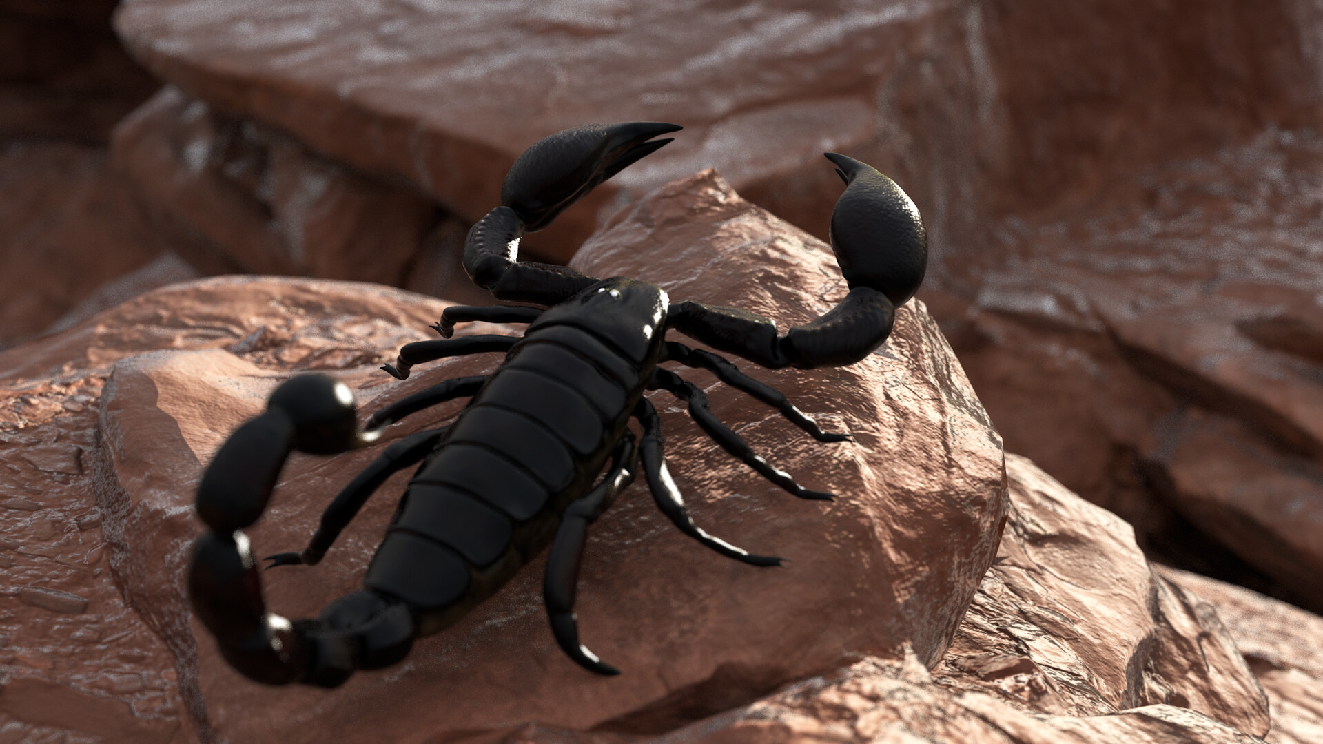 Black Scorpion Images Wallpapers