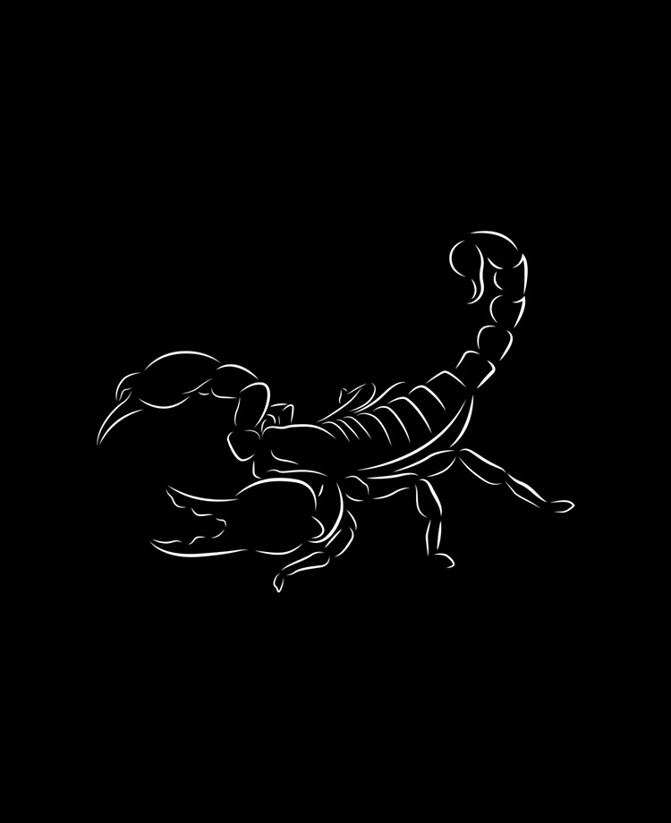 Black Scorpion Images Wallpapers