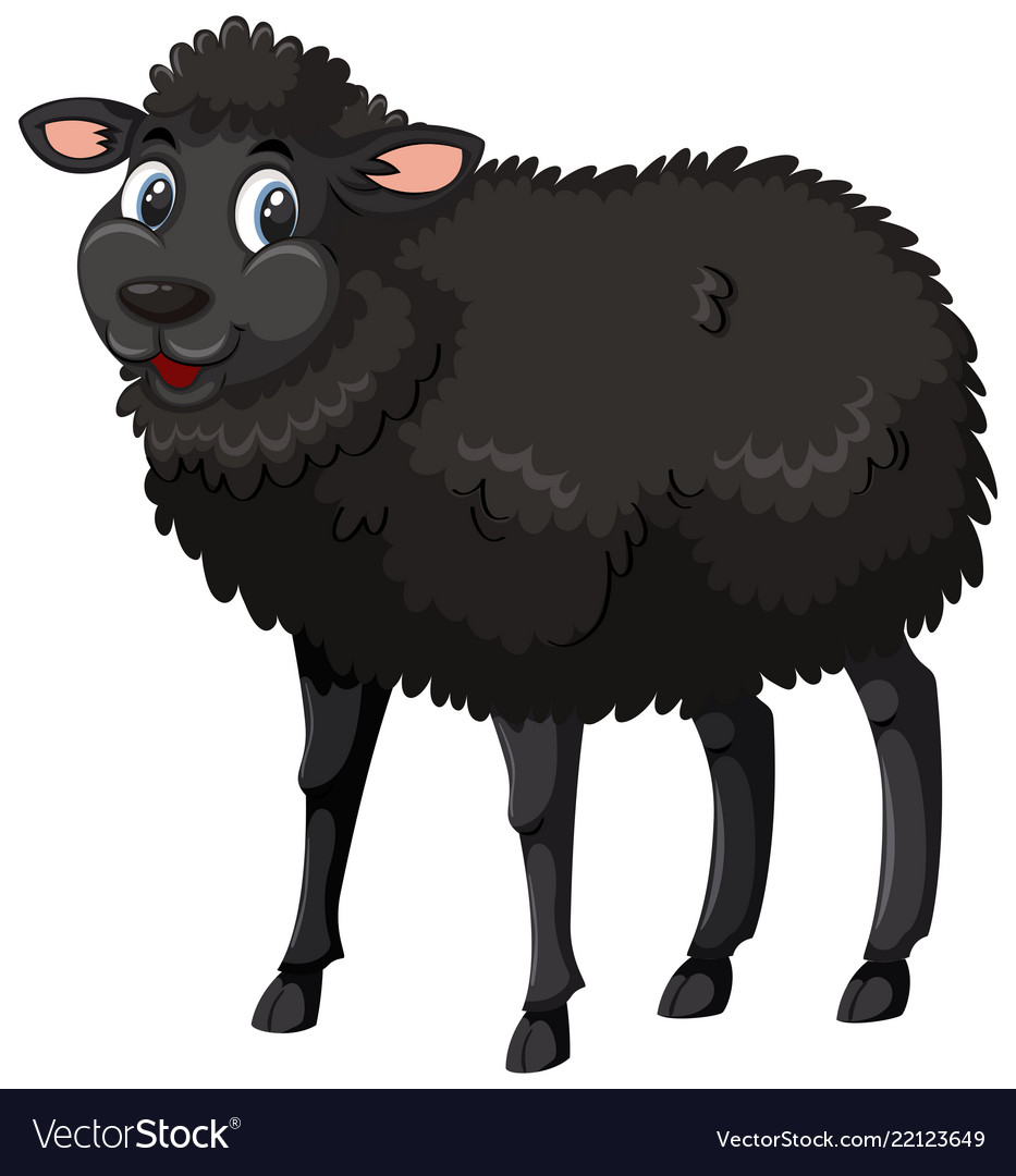 Black Sheep Wallpapers