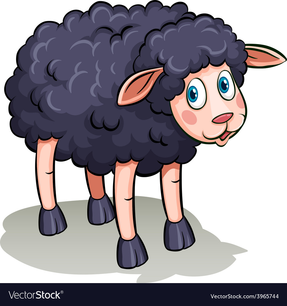 Black Sheep Wallpapers