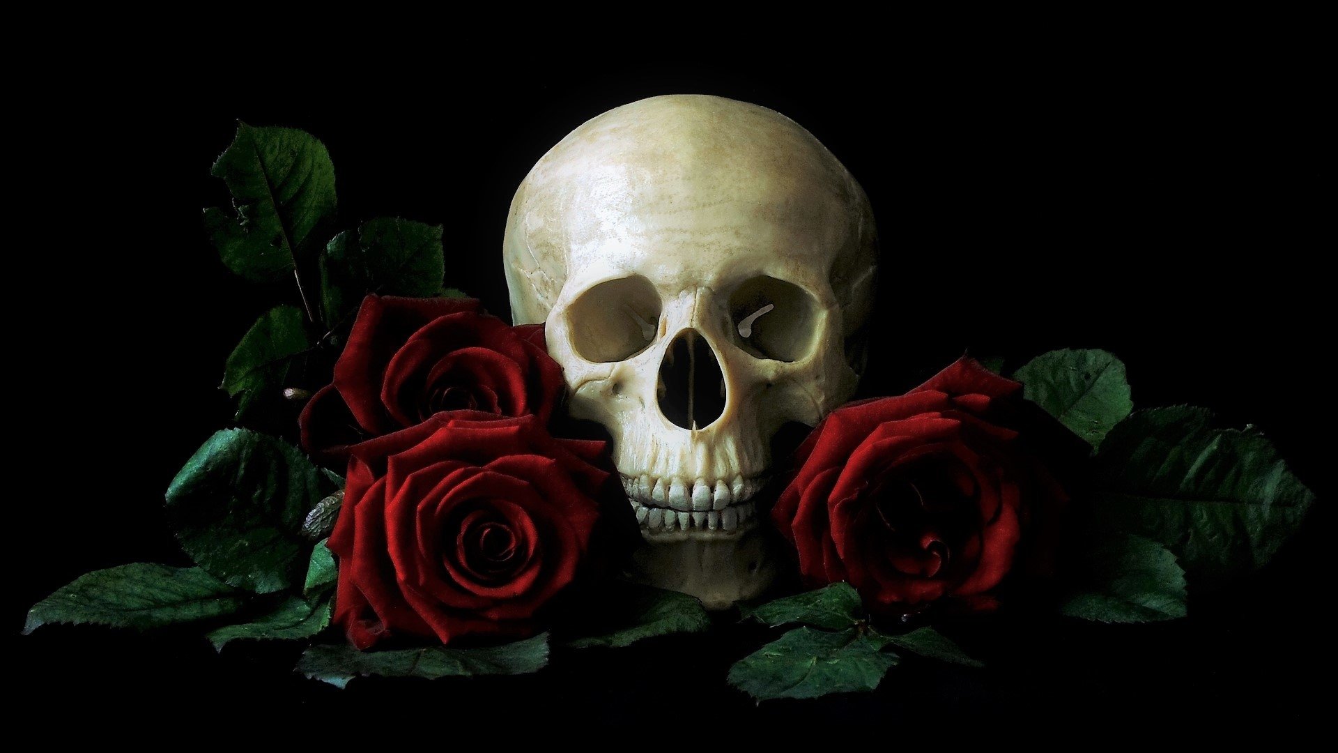 Black Skulls And Roses Wallpapers