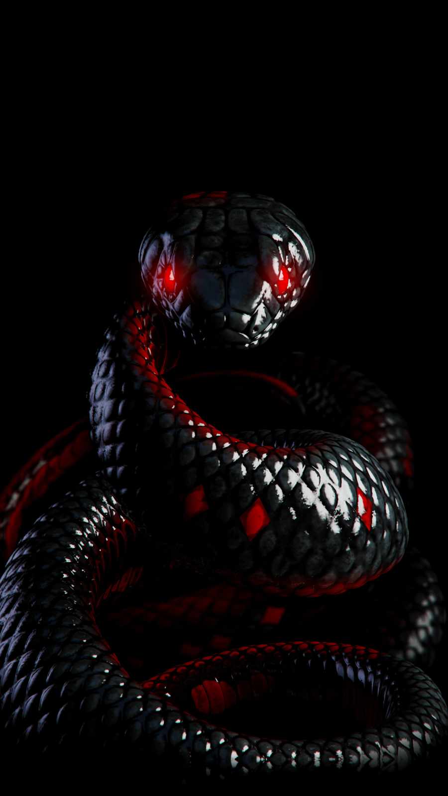 Black Snake Wallpapers