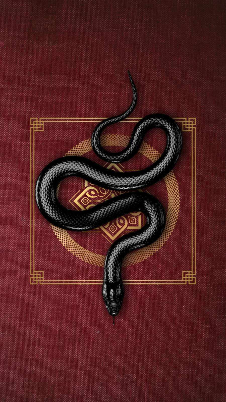 Black Snake Wallpapers