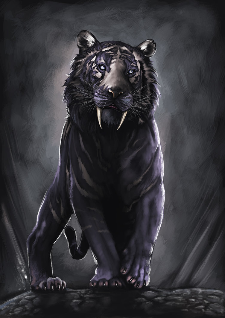 Black Tiger Hd Wallpapers